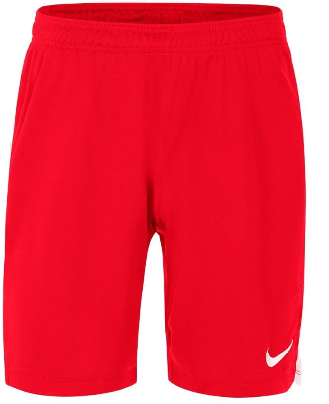 Pantalón corto Nike YOUTH TEAM SPIKE SHORT