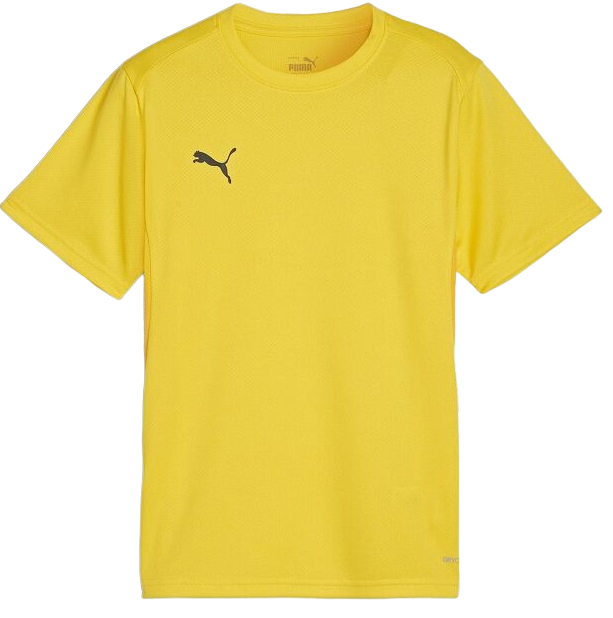 Camiseta Puma teamGOAL T-Shirt