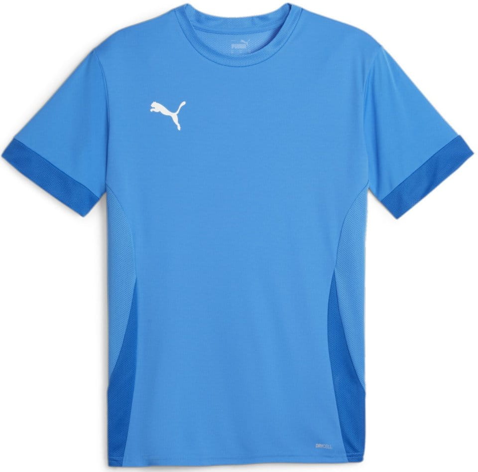Camiseta Puma teamGOAL Matchday Jersey